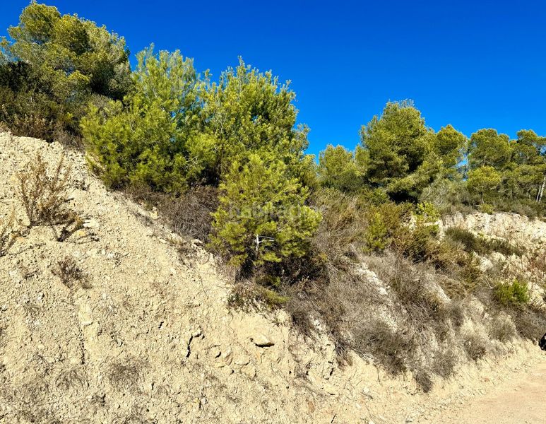 Foto aae03655-9bfb-45a8-8861-530592e91c5c. Terreny residencial a Partida Comunes-Adsubia Xàbia