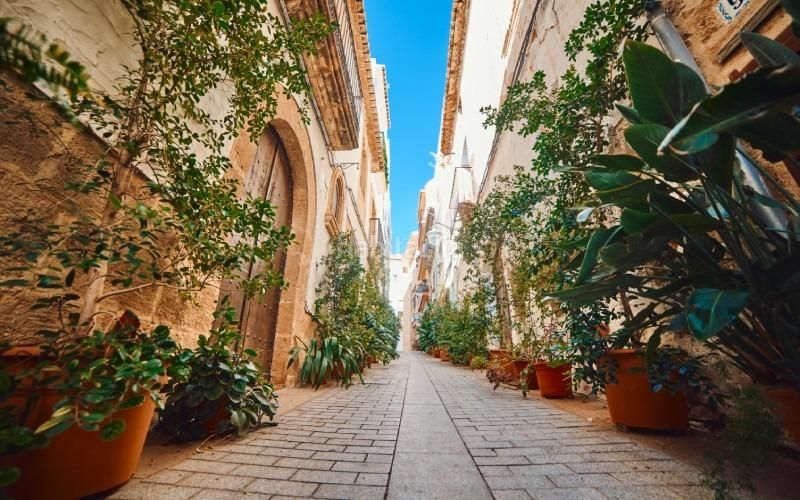 Foto ebf4cc9b-891d-4f57-9a51-7518665ccfe4. Xalet amb aparcament piscina a Partida Comunes-Adsubia Xàbia