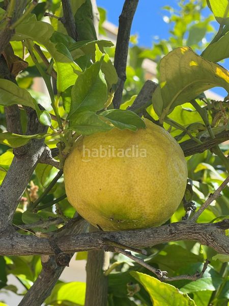 Foto 059506d9-367a-42fe-b5ea-cb807dfb957d. Xalet amb aparcament a Pinar de Advocat-Cometa Moraira