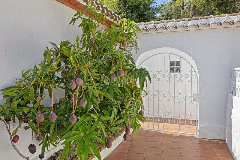 Foto ee147f84-e612-49c4-89a7-8564cf2c99a8. Xalet amb piscina a Partida Comunes-Adsubia Xàbia