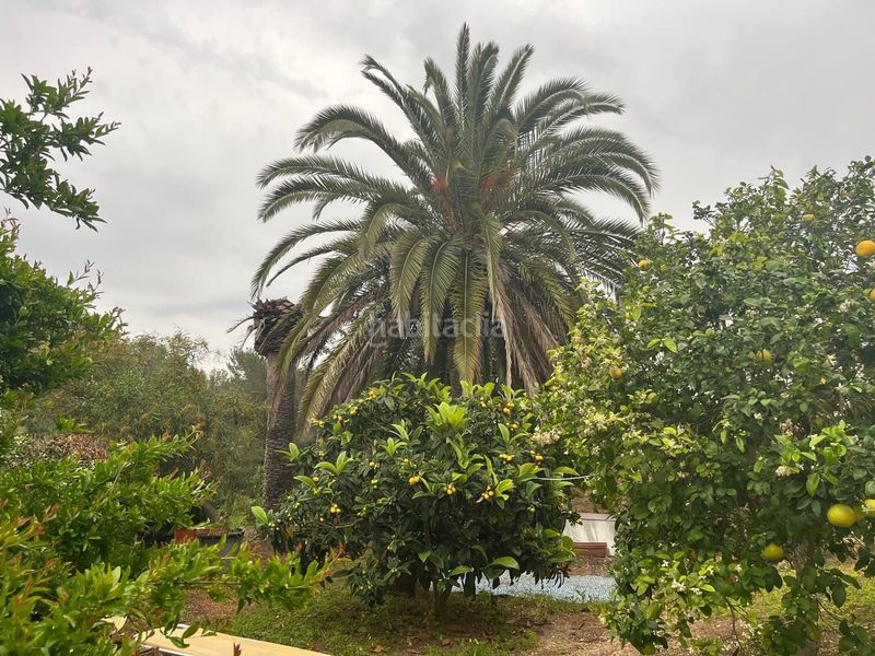 Foto fb96d290-3e6c-49ef-b212-a008c688a121. Chalet dans Cap Martí - El Tossalet - Pinomar Xàbia