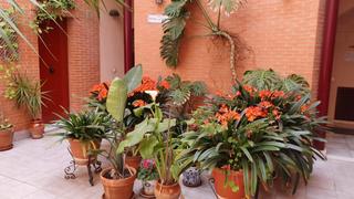 Flat in Madre de Dios