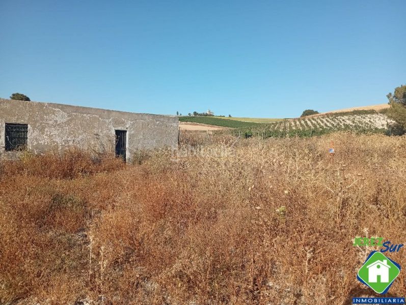 Foto 05bc1872-1b88-4270-a177-edf5f45dac96. Rural plot in Santiago - Coronación Jerez de la Frontera