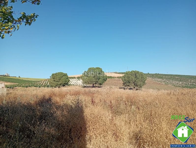 Foto 4f614a37-0582-4562-be1e-749d05803878. Rural plot in Santiago - Coronación Jerez de la Frontera