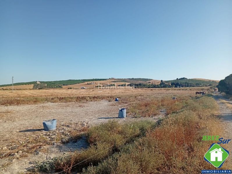 Foto 9a507a6e-7abb-4a5a-839d-02356ce5bb71. Rural plot in Santiago - Coronación Jerez de la Frontera