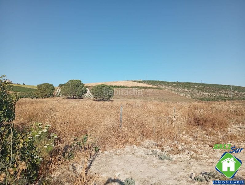Foto aae69e09-3d42-4a5b-a221-51118b9db38b. Rural plot in Santiago - Coronación Jerez de la Frontera