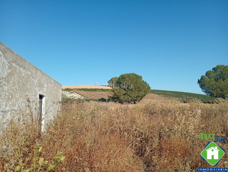 Foto b8dbbadb-e882-491c-b8f9-b938488bd5a8. Rural plot in Santiago - Coronación Jerez de la Frontera