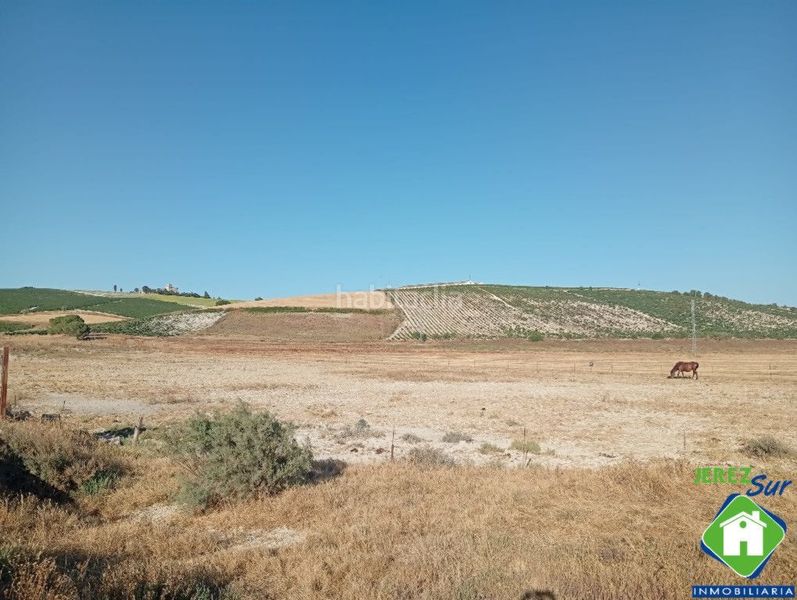 Foto c1a0ee50-a1f4-41e7-91db-f04e50372cc6. Rural plot in Santiago - Coronación Jerez de la Frontera