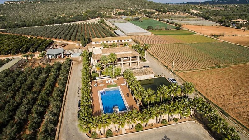 Foto 556c1703-7cd1-426a-8125-150d2b42698a. Xalet amb calefacció piscina a Sa Casa Blanca Palma de Mallorca