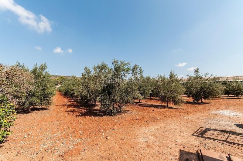 Foto 8979aa8b-8707-4cdf-8cdf-e94d437a34ab. Xalet amb calefacció piscina a Sa Casa Blanca Palma de Mallorca