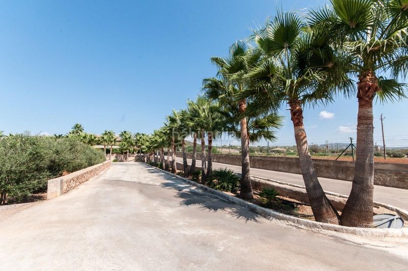 Foto c0e69ac5-468e-430a-abb6-64d94e86e382. Xalet amb calefacció piscina a Sa Casa Blanca Palma de Mallorca