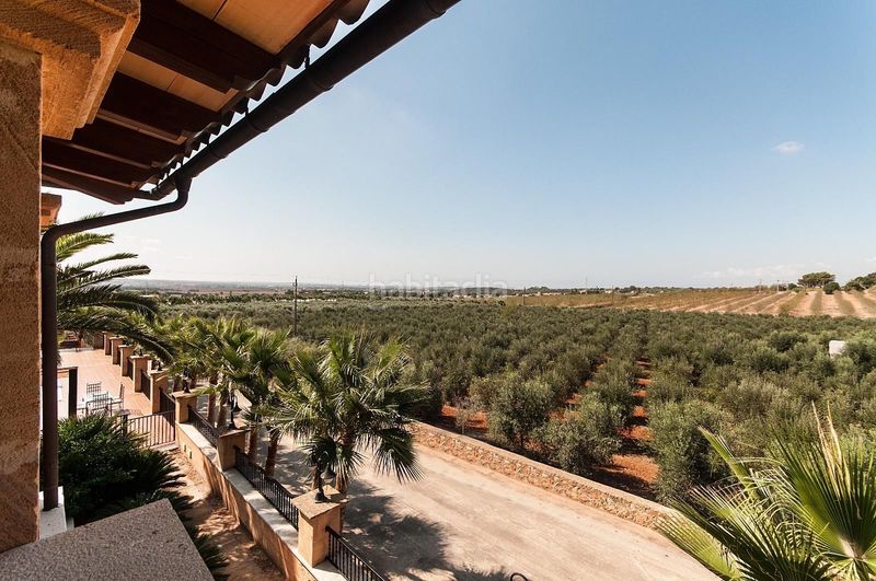 Foto e879c24b-5672-4b74-98e2-b6bf93bc793c. Xalet amb calefacció piscina a Sa Casa Blanca Palma de Mallorca