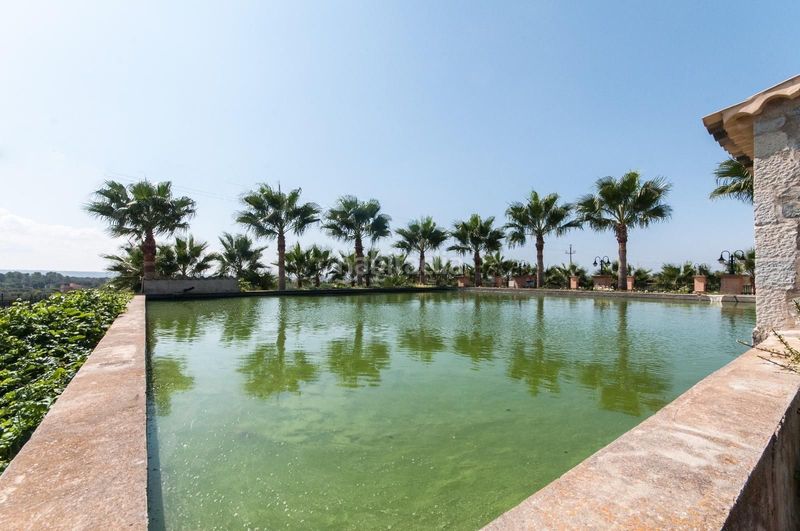 Foto f7d89d87-e791-4577-8477-224e73e16491. Xalet amb calefacció piscina a Sa Casa Blanca Palma de Mallorca