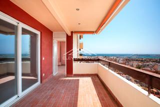 Pis  Francisco marti mora. Vistas incomparables y gran potencial en el corazón de palma