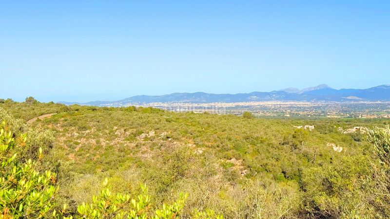 Foto 72fb9963-e2fb-4a33-965c-c39d614af64d. Xalet a Son Gual Palma de Mallorca