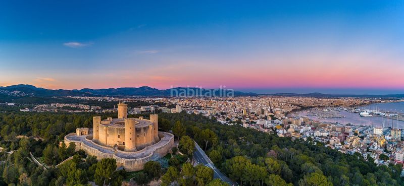 Foto 32e9935d-9b3b-4213-8a93-fb32954b5563. Àtic amb calefacció piscina a Son Armadams Palma de Mallorca