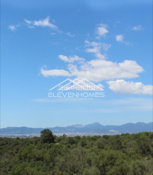 Foto 613190ca-31d3-4d3a-8d47-5cad51f4a67e. Xalet amb calefacció a Son Gual Palma de Mallorca