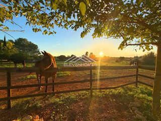 Country house  Camí de s´alzinar. Exclusiva finca en sencelles