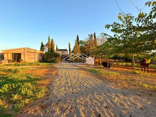 Casale  Camí de s´alzinar. Exclusiva finca en sencelles