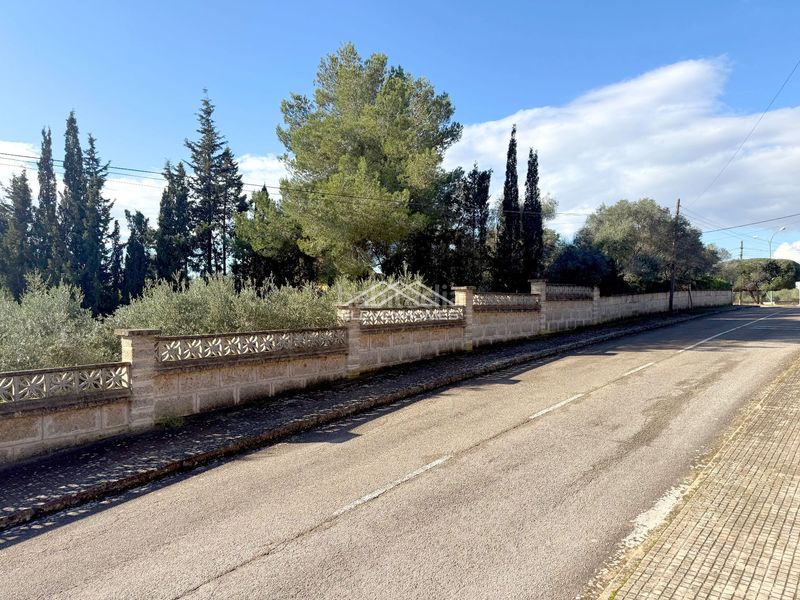 Foto 1a58c7ba-9ee2-49eb-b9c2-172e21b05e28. Finca rústica a Sant Jordi Palma de Mallorca