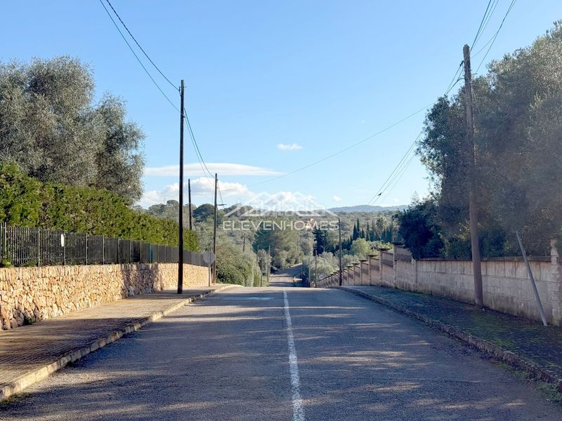 Foto a44ce957-0572-4a96-80a4-90c652eff335. Finca rústica a Sant Jordi Palma de Mallorca