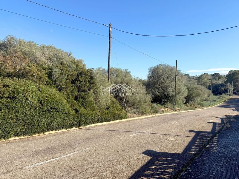 Foto ce06064a-fa98-4ff9-a4e0-4e9ad60b5763. Finca rústica a Sant Jordi Palma de Mallorca