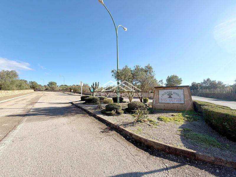 Foto e199c882-8b9c-495a-ba2b-79186c860577. Finca rústica a Sant Jordi Palma de Mallorca