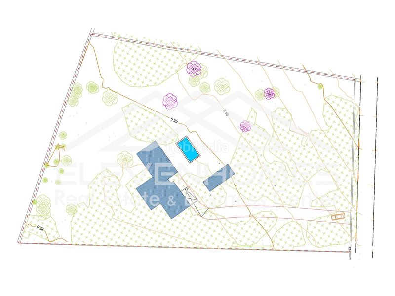 Foto e21928f0-d231-48b4-b001-a409055e680b. Finca rústica a Sant Jordi Palma de Mallorca