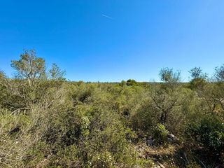Terreno residenziale in Carrer de son gual ii d 23. Exclusivo solar con licencia presentada