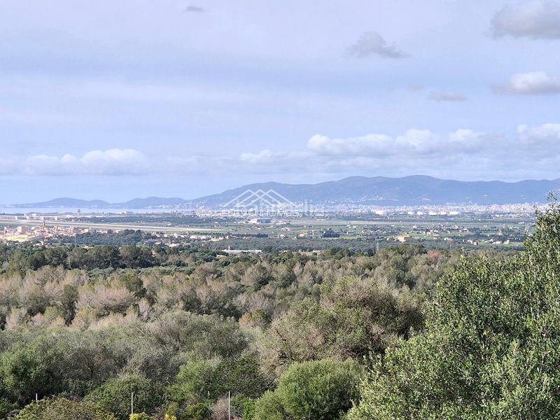 Foto a4a494b0-0c8d-4677-b54d-dcd464332d9a. Masia amb calefacció piscina a Son Gual Palma de Mallorca
