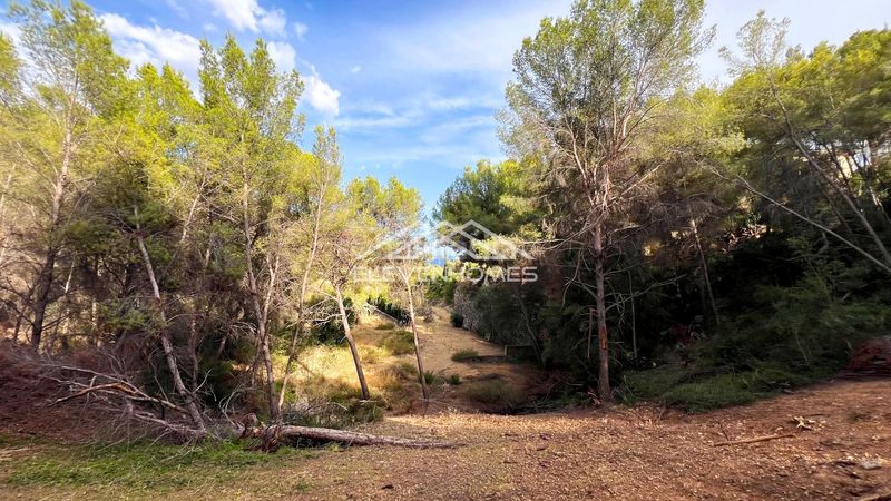 Foto 9d3db47a-62b1-4269-8f05-ac2c6240a92f. Wohngrundstück in Cas Català-Illetes Calvià