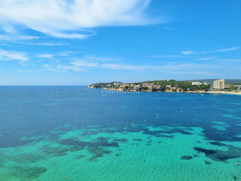 Foto a911bd34-00fa-40a1-9a35-b9b617b214bf. Pis amb calefacció piscina a Magaluf Calvià