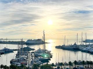 Piso en El Terreno. Espectacular apartamento en el paseo marítimo de palma de mallor