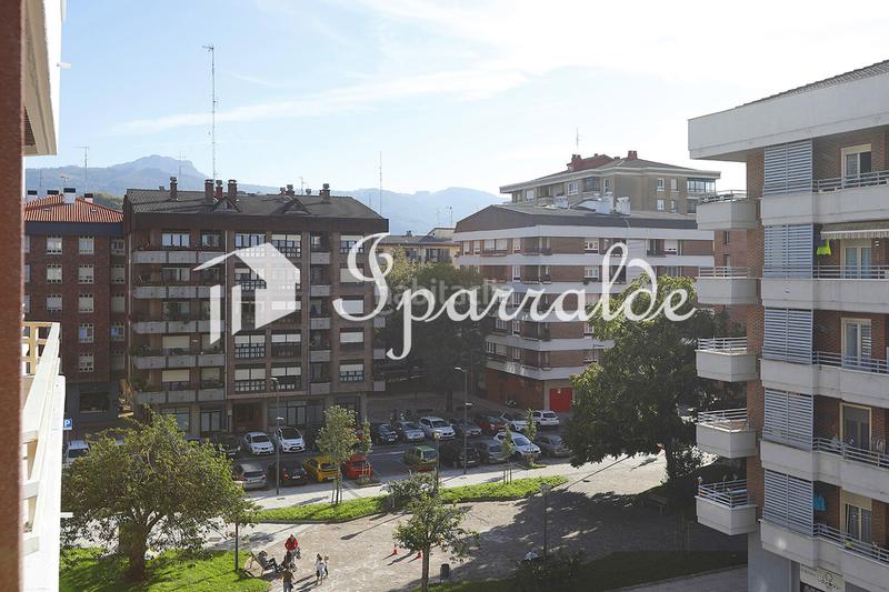 Foto 013329a9-050f-4b0b-b89b-a90744cf0a2b. Pis a Palmera - Dumboa - Arbes Irun