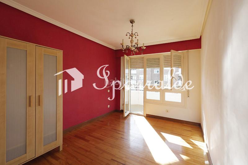 Foto 1892da60-f2c7-4557-b2b9-1b848c51b551. Pis a Palmera - Dumboa - Arbes Irun