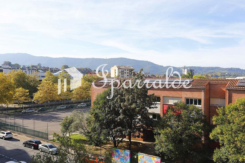 Foto 499ac0ce-c7f1-4bcb-8d61-41824808a497. Pis a Palmera - Dumboa - Arbes Irun