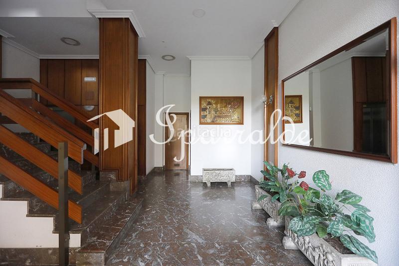 Foto 681ab665-67d1-41db-9120-75a5f699cc2f. Pis a Palmera - Dumboa - Arbes Irun