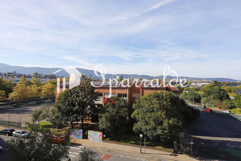 Foto 68f205b9-aad3-49b4-831e-5eb9f880b311. Pis a Palmera - Dumboa - Arbes Irun