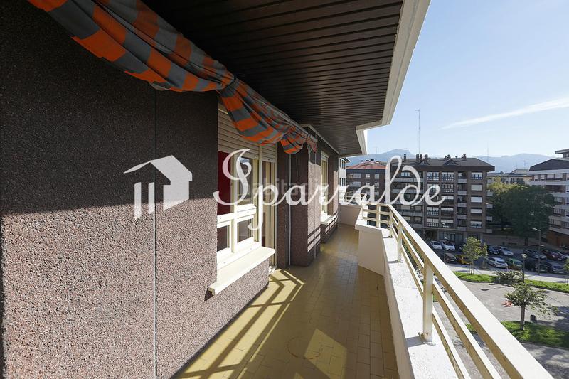 Foto 8093cbbd-5565-4a3c-bd23-4206ce4abce7. Pis a Palmera - Dumboa - Arbes Irun