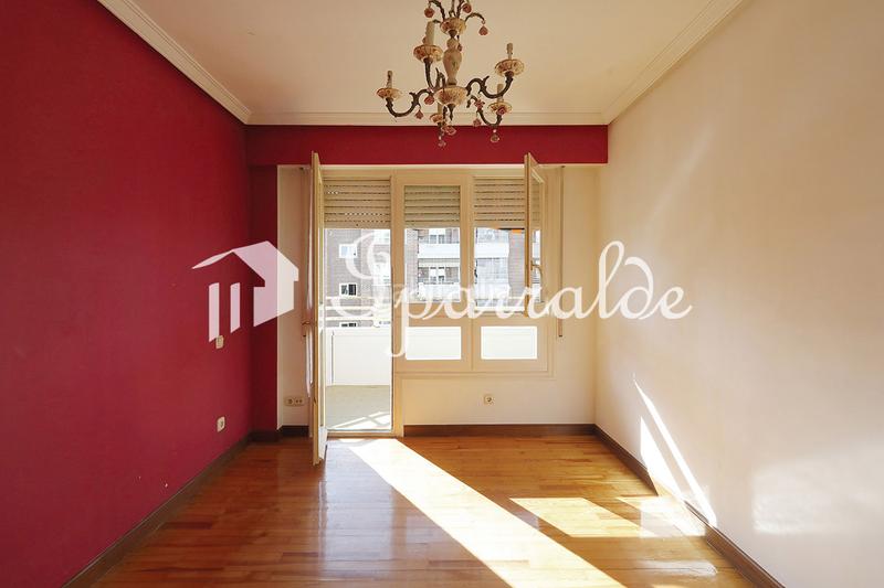 Foto 986bc78c-0ac8-4855-9023-16b8aa96d6ef. Pis a Palmera - Dumboa - Arbes Irun