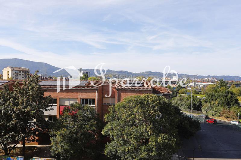 Foto e30a2a2c-cdcf-4d8a-a249-8a77044f6ea7. Pis a Palmera - Dumboa - Arbes Irun