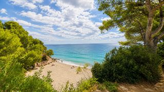Àtic a Passeig Marítim. Espectacular ático, a 90 metros de unas de las mejores calas de