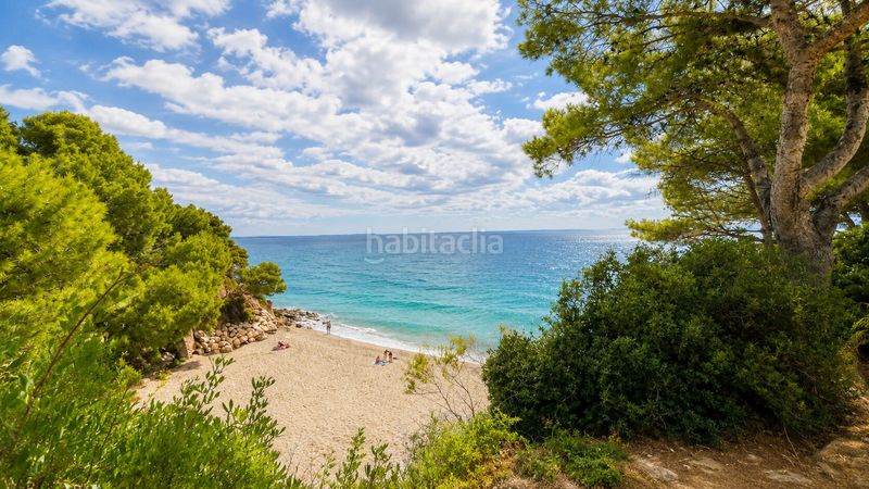 Foto b9a73d5d-15b4-43f1-ab46-8a745307b29e. Àtic amb piscina a Passeig Marítim Miami Platja