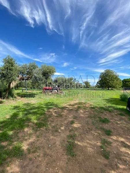 Foto 74438322-794a-4fd4-8e4a-42b764d31d4e. Edificio in Selva del Camp (La)