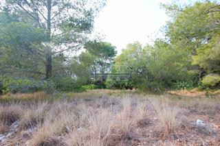 Residential Plot in Platja de Mont-roig. Parcelas en massos d'en blader