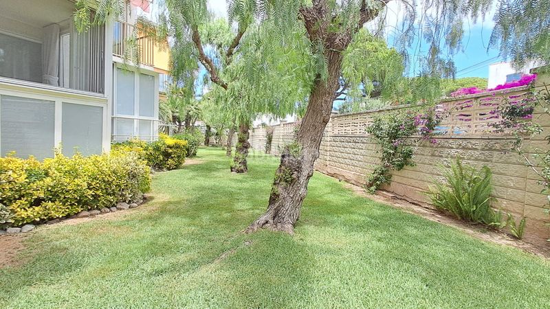 Foto db88fd03-fc2e-4ae5-96fe-a28c46d0dd4e. Apartament a Vilafortuny Platja Cambrils