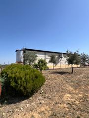Finca rústica a Almonte. ¡oportunidad única! finca rústica en villalba del alcor, huelva