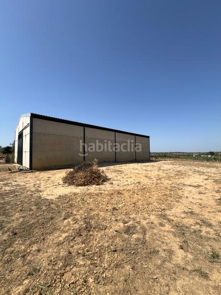 Foto 0d44f0cc-3d6a-49e8-a6f2-a0a6ed1089f0. Propriété dans Almonte Almonte