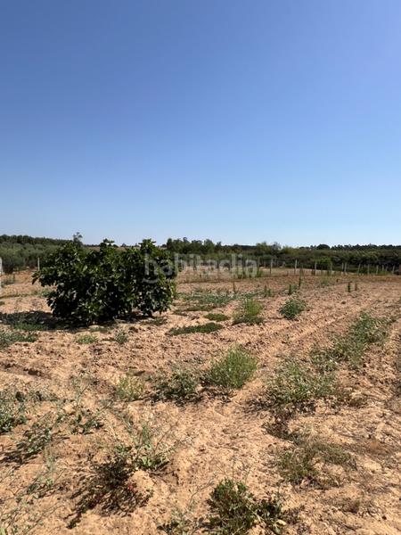 Foto 192f8675-8e71-465f-bce7-f5b37630984c. Propriété dans Almonte Almonte