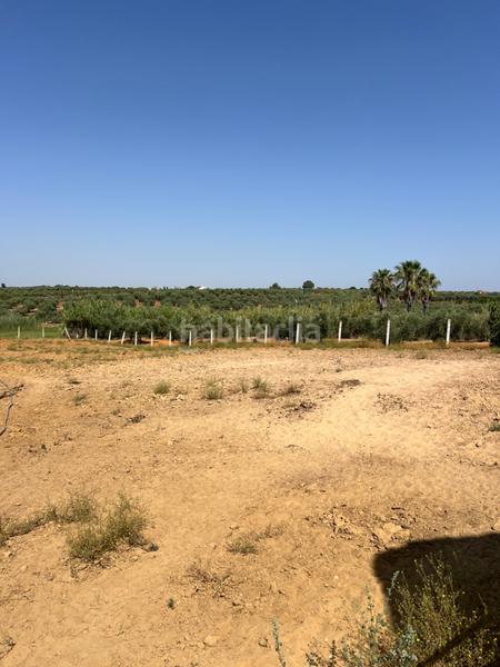 Foto 3bdb5414-90fd-4730-9117-e0473524b04e. Propriété dans Almonte Almonte